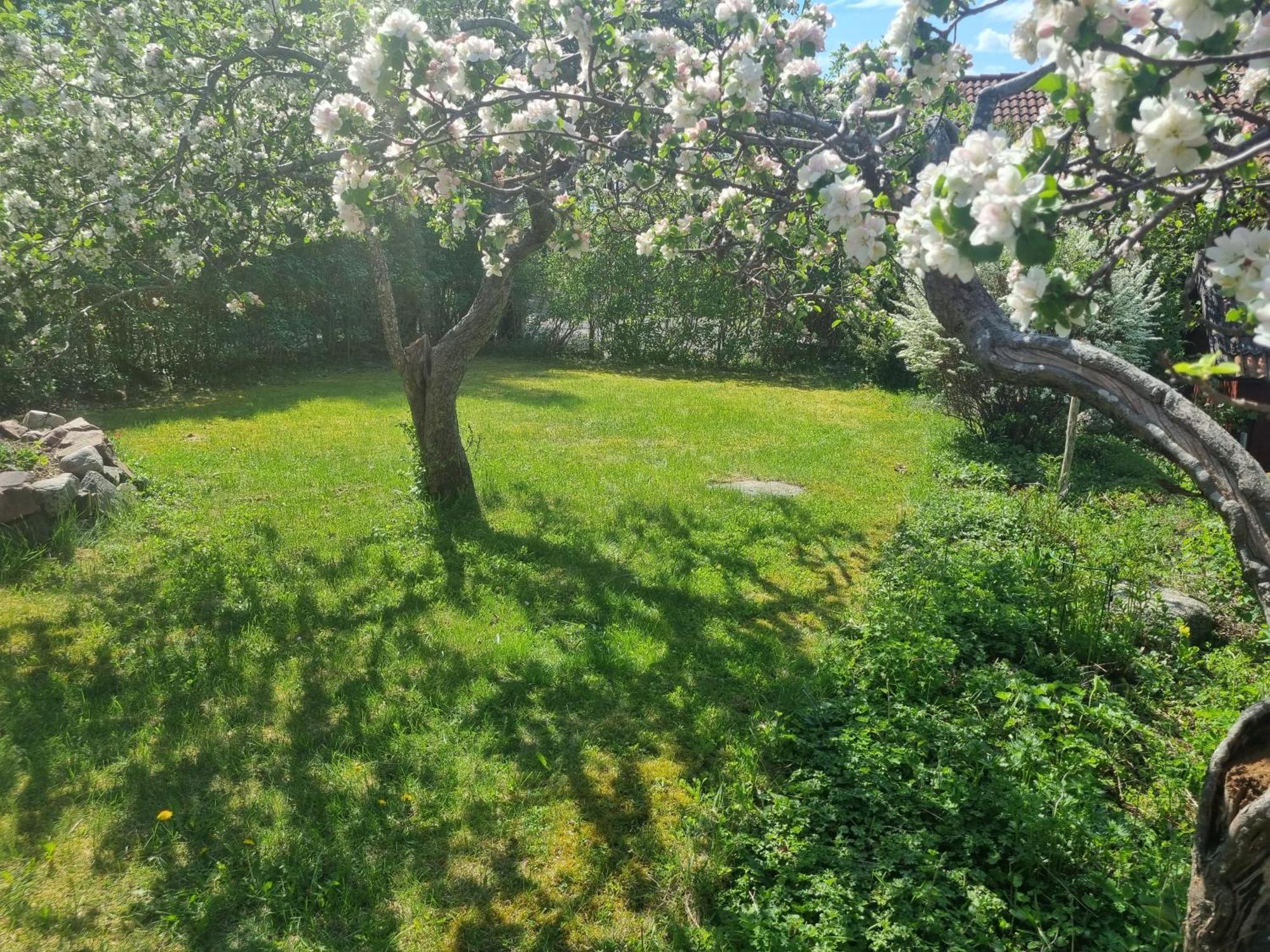 Saellinge House - Cozy Villa With Fireplace And Garden Close To Uppsala Exterior photo